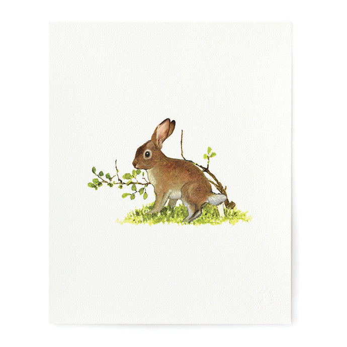 BOOKPLATES - FD - PATRICK JUNIOR SET OF 5