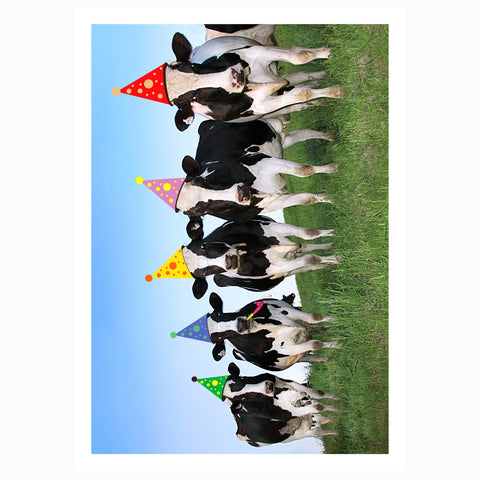 Party Cows