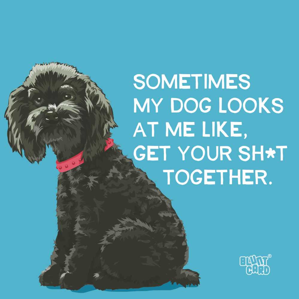 NAPKINS - PPD - SOMETIMES...