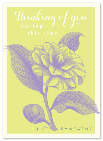 SYMPATHY - JF - FLOWER