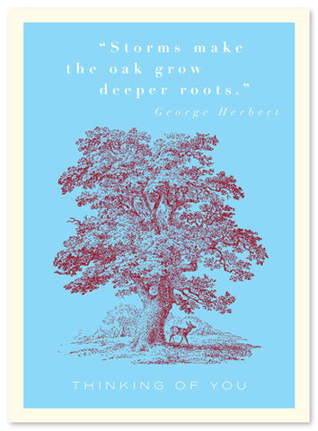 SYMPATHY - JF - STORMS MAKE THE OAK .....