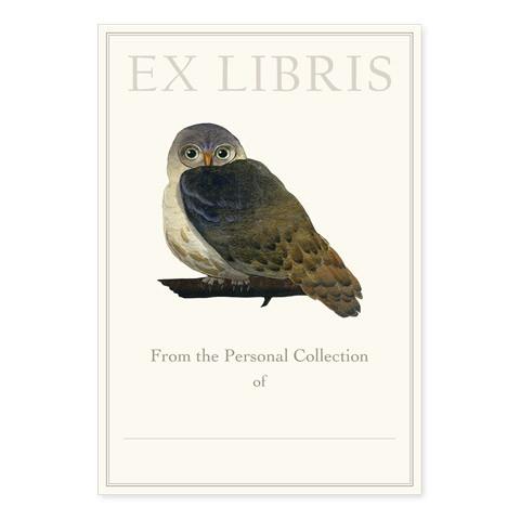 BOOKPLATES - FD - ELF OWL
