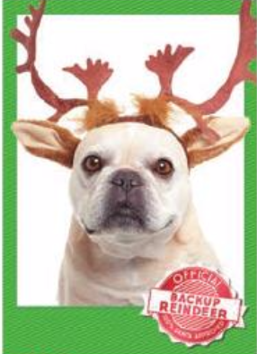 CARD - DD - OFFICIAL BACKUP REINDEER HOPING ALL YOUR HOLIDAY WISHES....