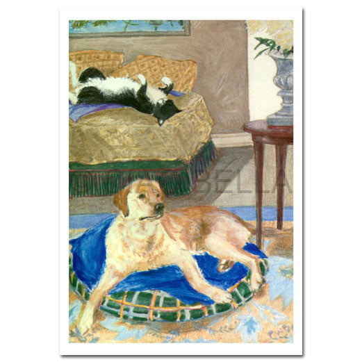 GENERAL DOG and CAT - CB - BETH AND BURT GOLDEN AND CAT