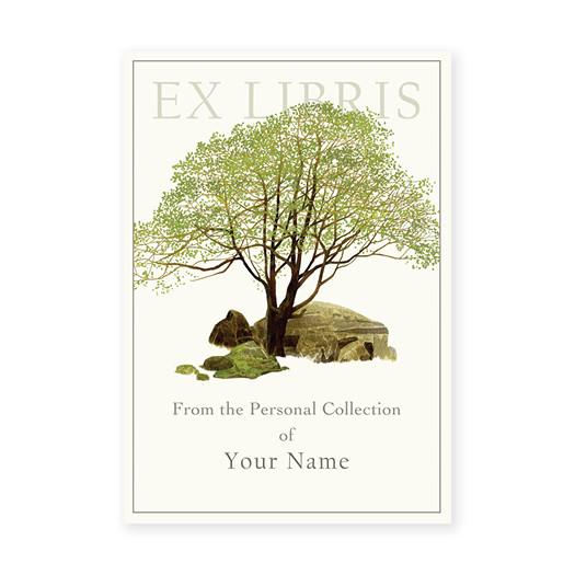 BOOKPLATES - FD - READING ROCK