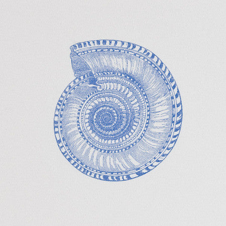 NOTE PAD - TP - BLUE NAUTILUS SHELL