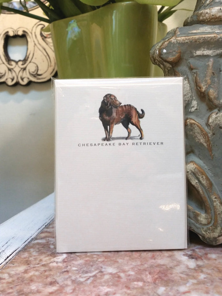 BOXED CARDS - RC - CHESAPEAKE BAY RETRIEVER