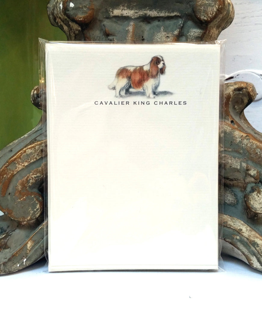 BOXED CARDS - RC - CAVALIER KING CHARLES