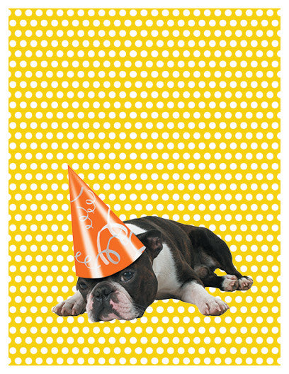 BIRTHDAY - A2C - "BOSTON TERRIER"