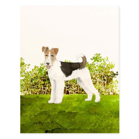 GENERAL DOG - FD - FOX TERRIER