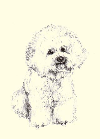 BOXED NOTECARDS - OB - BICHONS FRISES