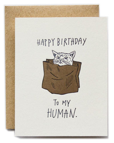 BIRTHDAY - LL -  CAT HAPPY BIRTHDAY TO MY HUMAN