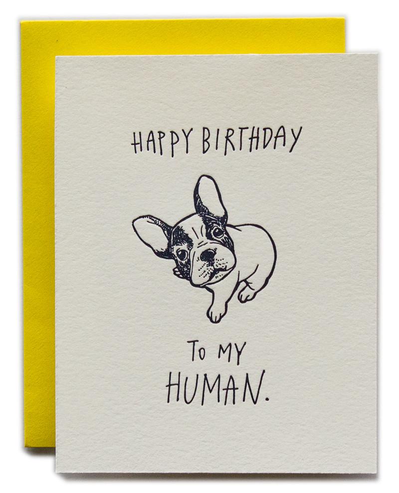 BIRTHDAY - LL -  DOG HAPPY BIRTHDAY TO MY HUMAN
