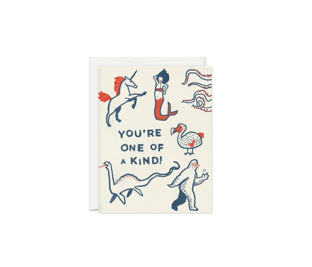 ENCOURAGEMENT GREETING CARD - OH - YOU'RE ONE OF A KIND