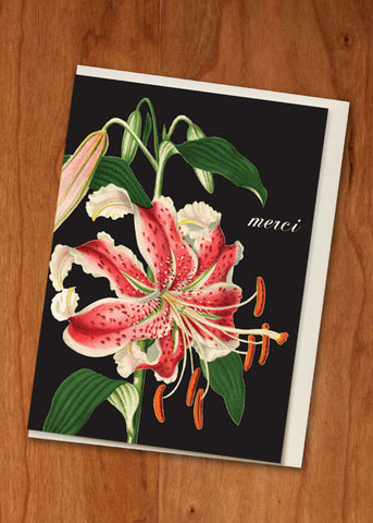 GIFT ENCLOSURE CARD - PFD - MERCI PINK LILY SINGLE