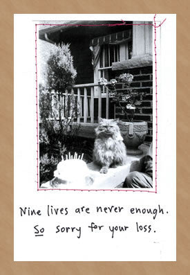 SYMPATHY - VT - NINE LIVES CAT