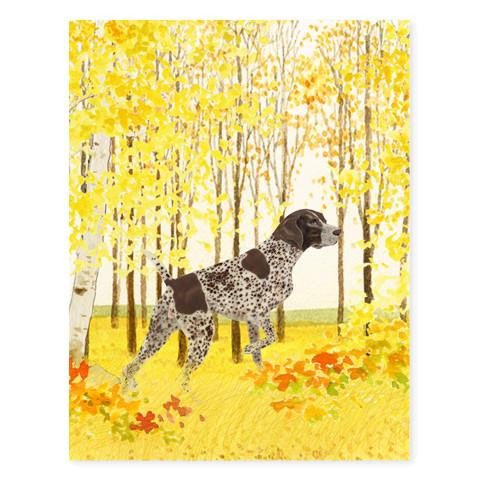 GENERAL DOG - FD - POINTER