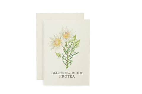 WEDDING CARD - LS - BLUSHING BRIDE PROTEA