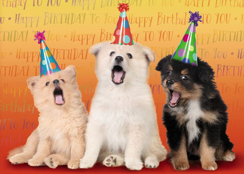 BIRTHDAY - DD - SINGING DOGS WITH BIRTHDAY HATS ON