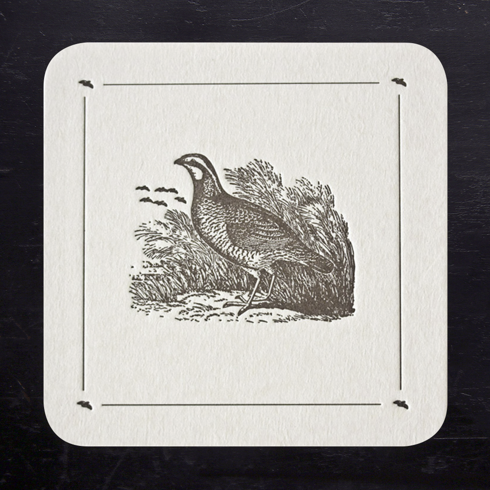 COASTERS - ANC - QUAIL SET OF 8 LETTERPRESS