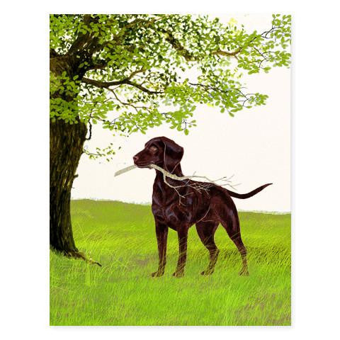 GENERAL DOG - FD - LAB WITH STICK