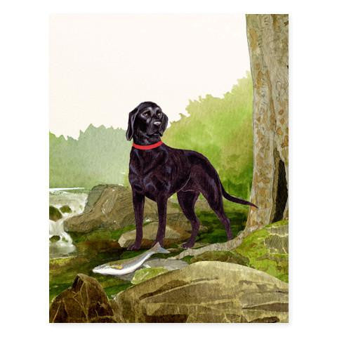 GENERAL DOG - FD - DOG BY THE STREAM BLACK LAB