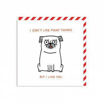 I DON'T LIKE MANY THINGS - GREETING CARD
