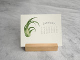 TILLANDSIA PLANTS - 2017 DESK CALENDAR