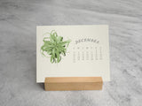 TILLANDSIA PLANTS - 2017 DESK CALENDAR