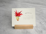 TILLANDSIA PLANTS - 2017 DESK CALENDAR