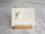 TILLANDSIA PLANTS - 2017 DESK CALENDAR