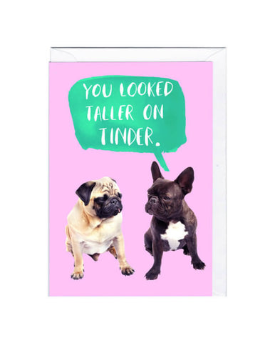 HUMOR DOG - JA - TINDER PUG