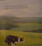 Black Beauty’s - Child’s Book