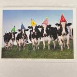 Party Cows