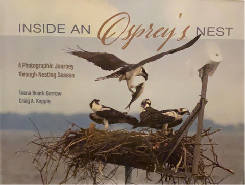 Inside an Osprey’s Nest
