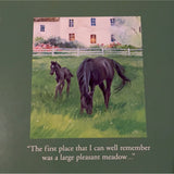 Black Beauty’s - Child’s Book