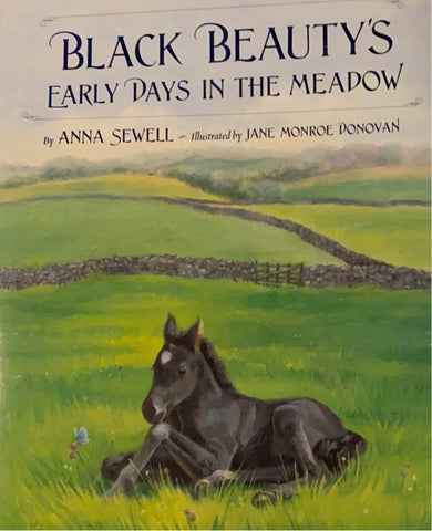 Black Beauty’s - Child’s Book