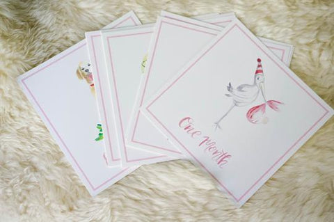 BABY GIRL FIRST YEAR MILESTONE CARDS - KMD - 12 TRADITIONAL GIRL WATERCOLOR MILESTONE CARDS