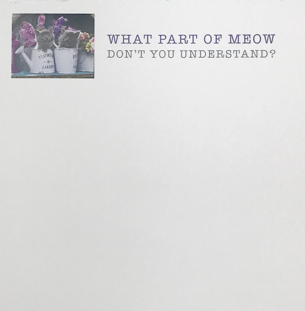 NOTEPAD - BFS - UNDERSTAND MEOW?