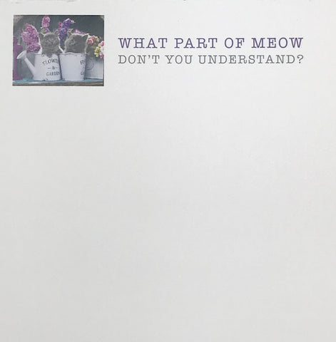 NOTEPAD - BFS - UNDERSTAND MEOW?