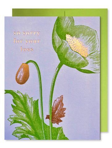 SYMPATHY - JF - SO SORRY FOR YOUR LOSS