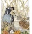 KITCHEN TOWEL - MLT - QUAIL FAMILY FLOUR SACK